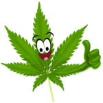 get high now australia logo