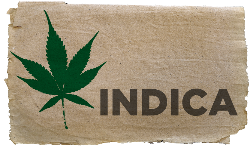 best-indica-strains