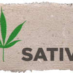 Sativa Strains