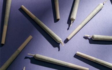 A premium collection of pre rolls Australia featuring organic weed cones and high-quality raw papers arranged on a clean, minimalist surface to highlight professional craftsmanship and consistent burn quality.