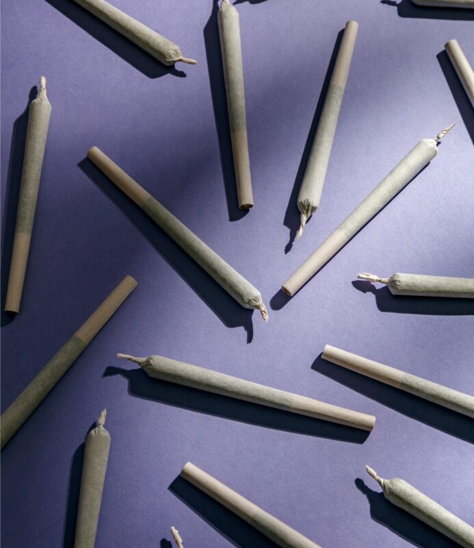 A premium collection of pre rolls Australia featuring organic weed cones and high-quality raw papers arranged on a clean, minimalist surface to highlight professional craftsmanship and consistent burn quality.