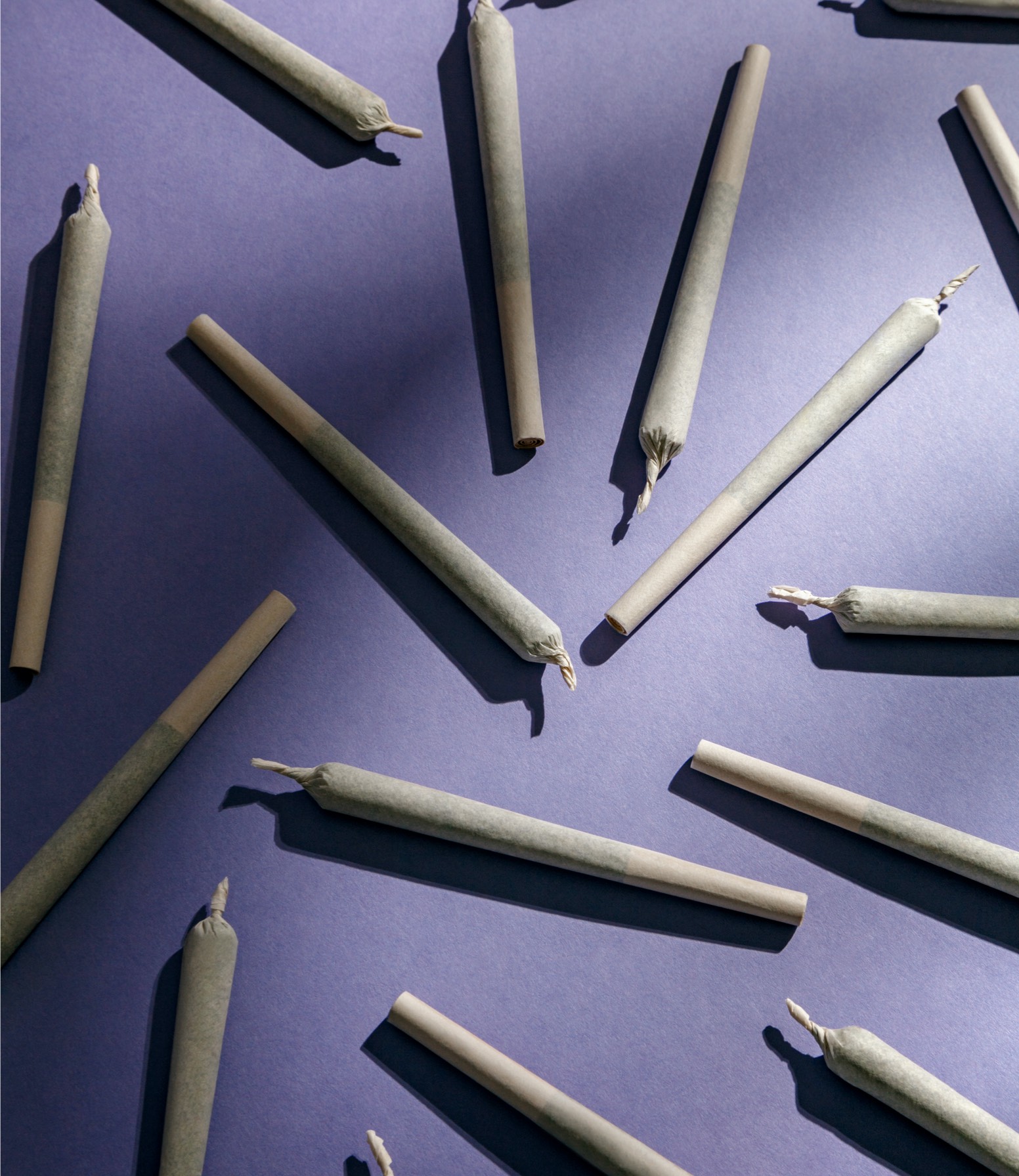 A premium collection of pre rolls Australia featuring organic weed cones and high-quality raw papers arranged on a clean, minimalist surface to highlight professional craftsmanship and consistent burn quality.