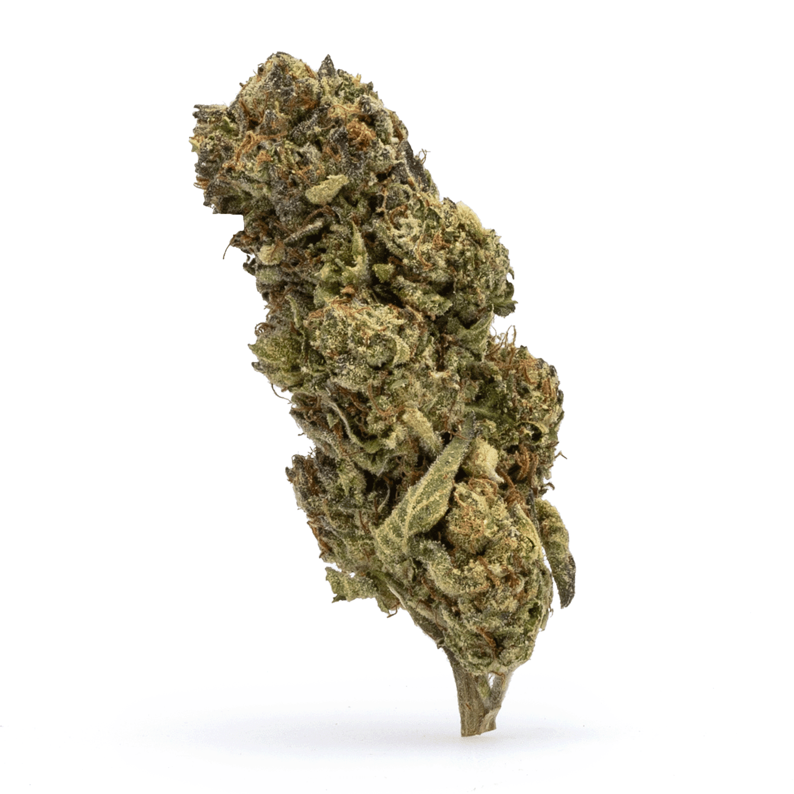 High-THCa-Flower-Ice-Cream-Cookies-Bud THCa Flower Ice Cream Cookies - Image 1