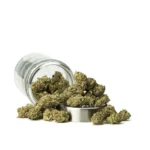 THCa Flower Grape Frosty - Image 3