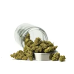 THCa Flower Mac 1 - Image 3