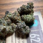 Runtz (Grape Pie/MAC) x Grape Gas 7g pack
