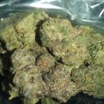 Sunset Gelato Strain | 28g Pack