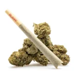 THCa Flower Pre-Roll Jokerz Candy - Image 3