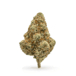 THCa Flower Tangie