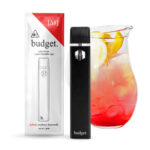 Budget Delta 8 Vaporizer - 1000mg - Image 5