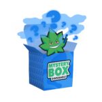 Dispo E420 Box - Image 2