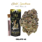 Gelato Gold Spectrum THC-A Pre-Rolls – 1g (2ct)