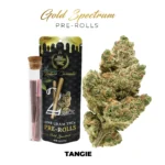 Tangie Gold Spectrum THC-A Pre-Rolls – 1g (2ct)