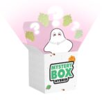 Hybrid E420 Mystery Box - Image 2